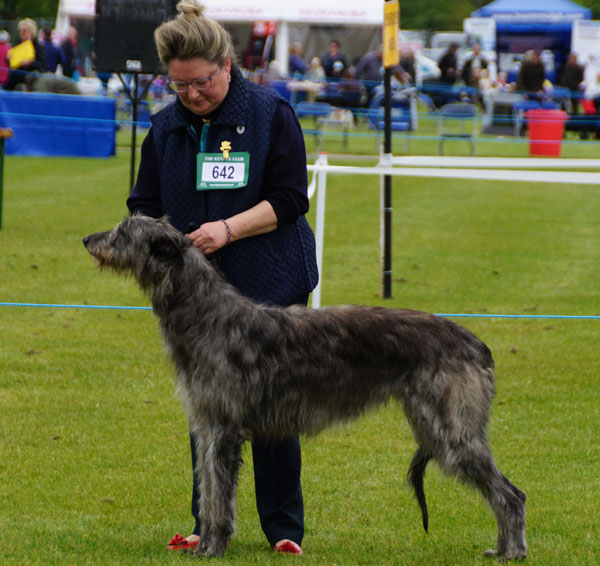 1st Yearling <strong></strong>itch